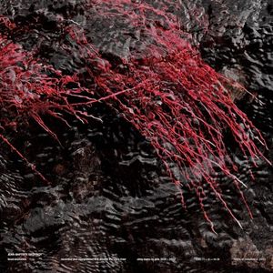 Local Exoticism (EP)