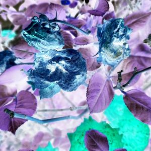 interdependence (Single)