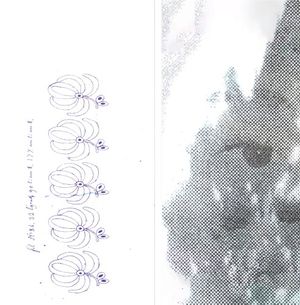 Amulet of Tears