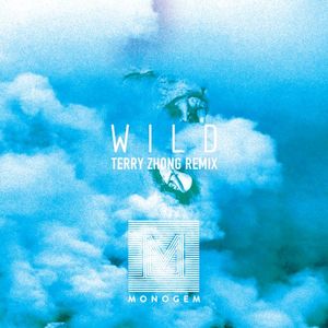 Wild (Terry Zhong remix)