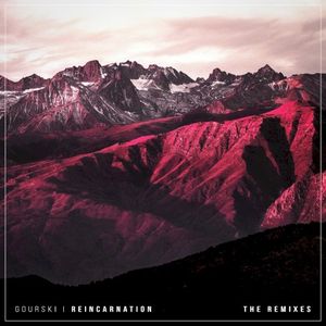 Reincarnation (Remixes)
