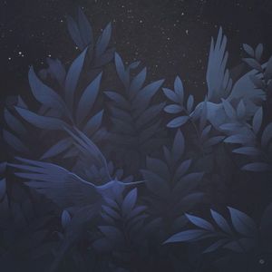 Midnight Coffee (Single)