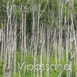 Vipassana: The Nothingness That Is the Source of Everything