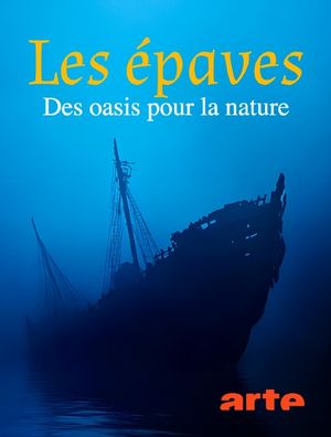 Les épaves, des oasis pour la nature