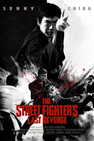 La Revanche Du Street Fighter