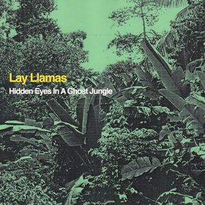 Hidden Eyes in a Ghost Jungle