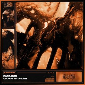 Chaos Is Order (Single)