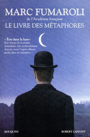 Le livre des métaphores