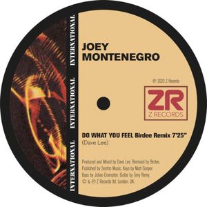 Do What You Feel (Birdee Remix) (Single)