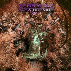 SLOW BURNING RMX (EP)