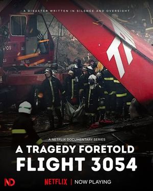 Vol 3054 : Une tragédie annoncée