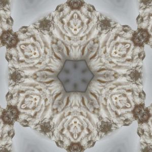 Synapsnschnaxla (Single)