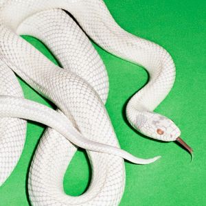 my mind is a mountain (Single)