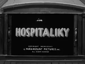 Hospitaliky