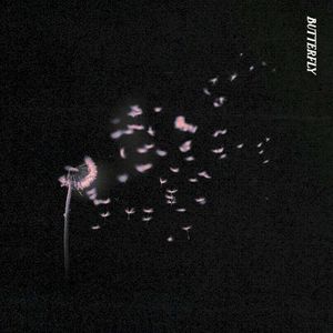 Butterfly (Single)