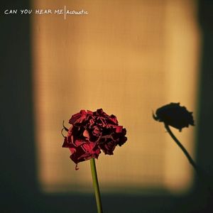 Can You Hear Me (Single)