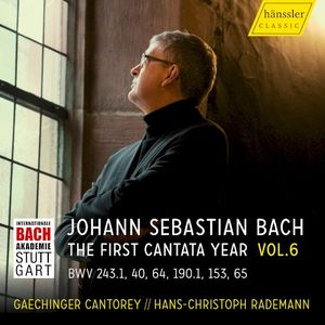 The First Cantata Year, Vol. 6