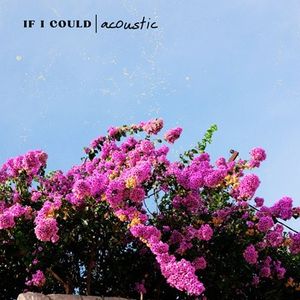 If I Could (Single)