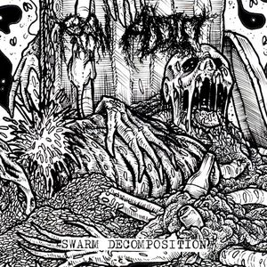 Swarm Decomposition
