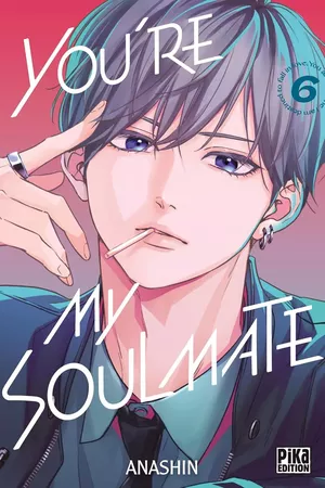 You're My Soulmate, tome 6