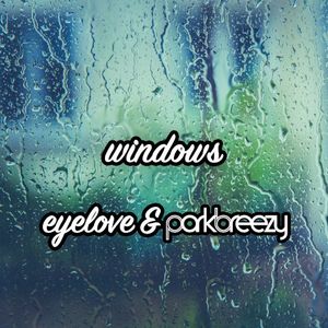 Windows (Single)