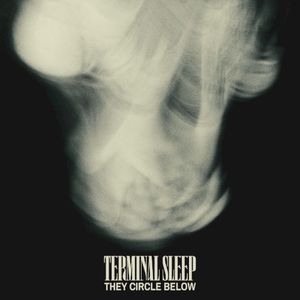 They Circle Below (Single)