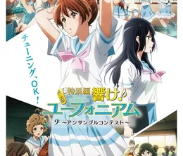 image-https://media.senscritique.com/media/000022977035/0/hibike_euphonium_ensemble_contest.webp