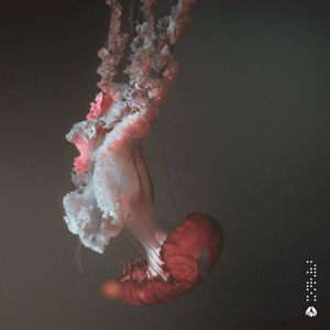 Organism (Single)