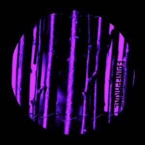 Epinephrine (EP)
