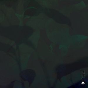 Meander (Single)