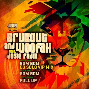Bom Bom / Pull Up (Single)