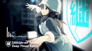 Säkkijärven Polkka (Deep House Remix)