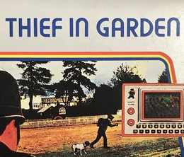 image-https://media.senscritique.com/media/000022981433/0/voleur_dans_le_jardin.png