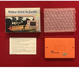 image-https://media.senscritique.com/media/000022981437/0/voleur_dans_le_jardin.jpg