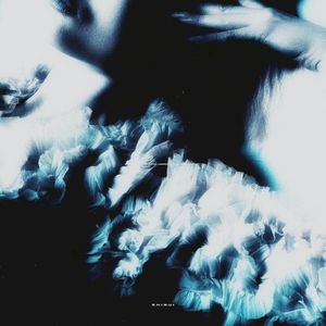 shibui (Single)