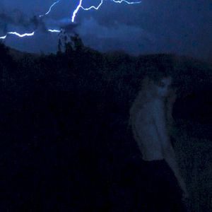 Die Like Everyone Else (Single)