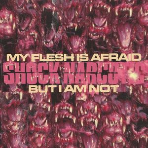 My Flesh Is Afraid but I Am Not