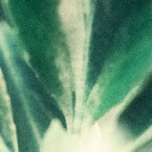 resolve / relate 03 (EP)