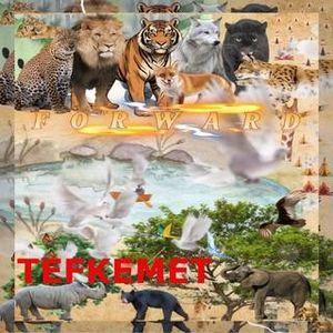 Forward (EP)