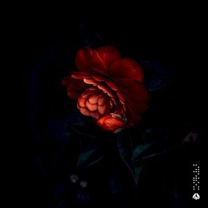Here and Now (Single)