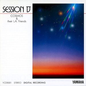 Session V