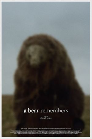 Un ours se souvient