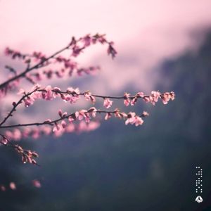 Better Days (EP)