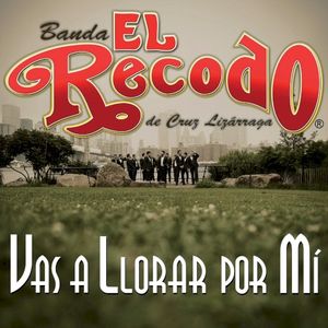 Vas a llorar por mí (Single)