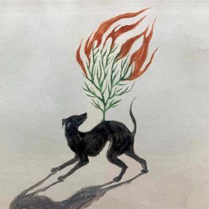 Foxfire (Single)