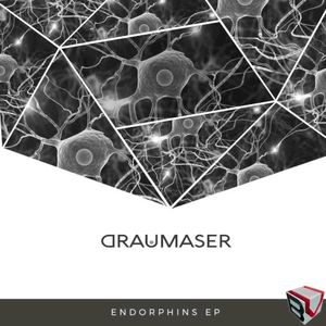 Endorphins EP (EP)
