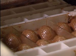 Comment fait-on pour... remplir le centre des chocolats ?