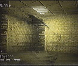image-https://media.senscritique.com/media/000023000413/0/expedtion_to_the_backrooms.jpg