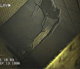 image-https://media.senscritique.com/media/000023000414/0/expedtion_to_the_backrooms.jpg