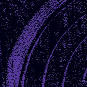 Elvis (Single)